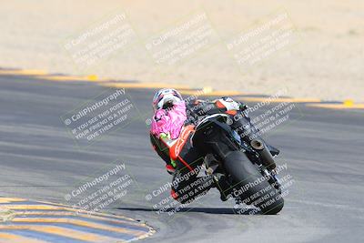 media/Mar-10-2024-SoCal Trackdays (Sun) [[6228d7c590]]/9-Turn 8 Backside (1150am)/